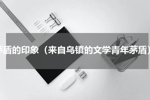 茅盾的印象（来自乌镇的文学青年茅盾）