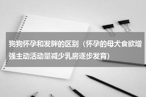 狗狗怀孕和发胖的区别（怀孕的母犬食欲增强主动活动量减少乳房逐步发育）