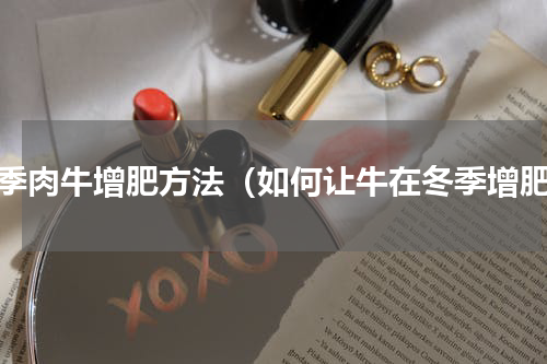 冬季肉牛增肥方法（如何让牛在冬季增肥）