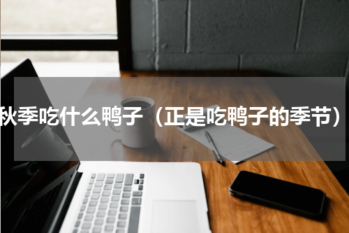 秋季吃什么鸭子（正是吃鸭子的季节）