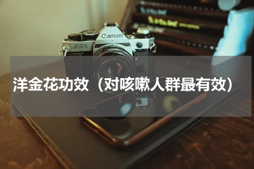 洋金花功效（对咳嗽人群最有效）