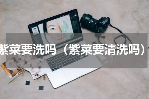 紫菜要洗吗（紫菜要清洗吗）