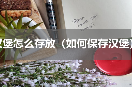 汉堡怎么存放（如何保存汉堡）