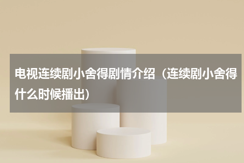 电视连续剧小舍得剧情介绍（连续剧小舍得什么时候播出）