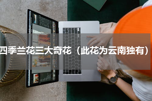 四季兰花三大奇花（此花为云南独有）