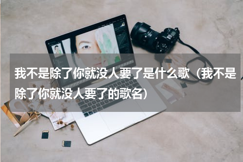 我不是除了你就没人要了是什么歌（我不是除了你就没人要了的歌名）