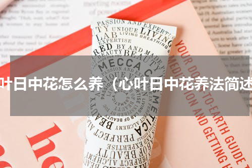 心叶日中花怎么养（心叶日中花养法简述）