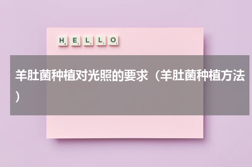羊肚菌种植对光照的要求（羊肚菌种植方法）