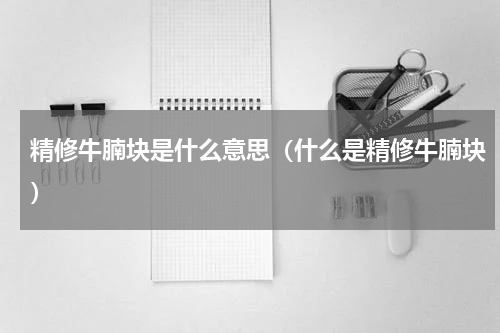 精修牛腩块是什么意思（什么是精修牛腩块）