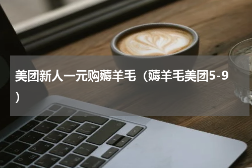 美团新人一元购薅羊毛（薅羊毛美团5-9）