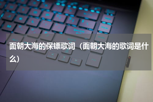面朝大海的保镖歌词（面朝大海的歌词是什么）