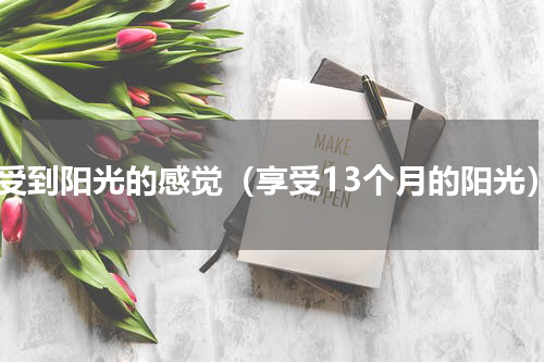 享受到阳光的感觉（享受13个月的阳光）