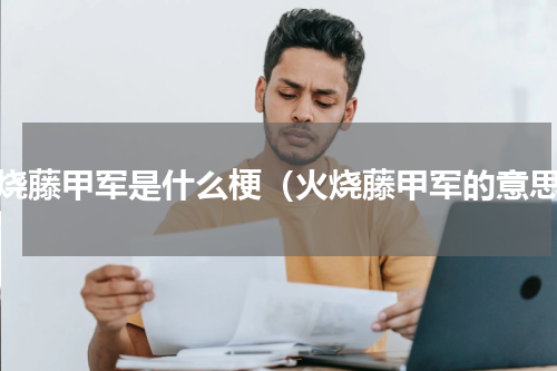 火烧藤甲军是什么梗（火烧藤甲军的意思）