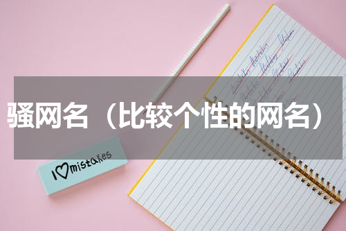骚网名（比较个性的网名）