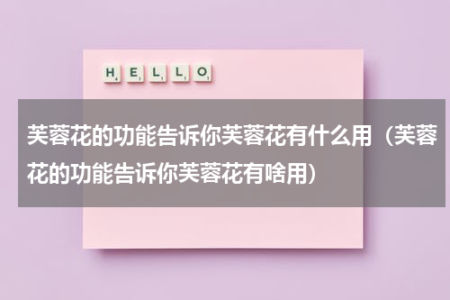 芙蓉花的功能告诉你芙蓉花有什么用（芙蓉花的功能告诉你芙蓉花有啥用）