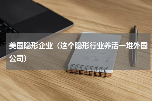 美国隐形企业（这个隐形行业养活一堆外国公司）