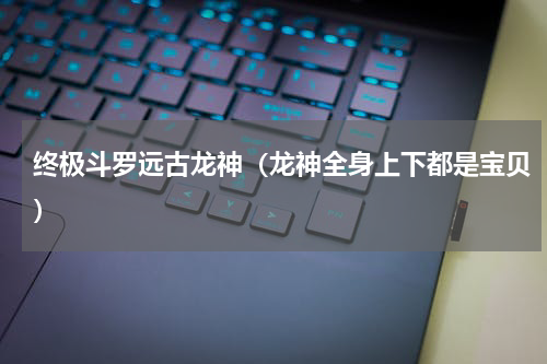 终极斗罗远古龙神（龙神全身上下都是宝贝）