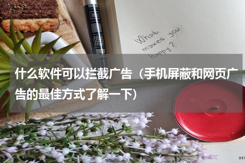 什么软件可以拦截广告（手机屏蔽和网页广告的最佳方式了解一下）