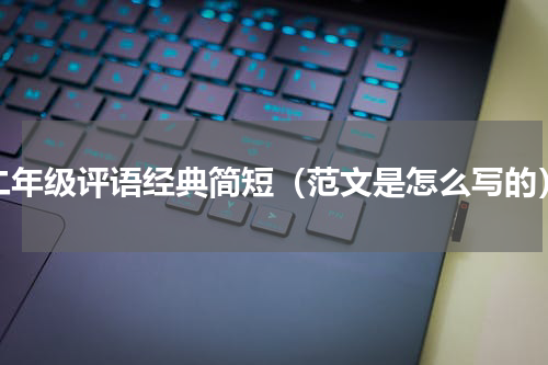 二年级评语经典简短（范文是怎么写的）