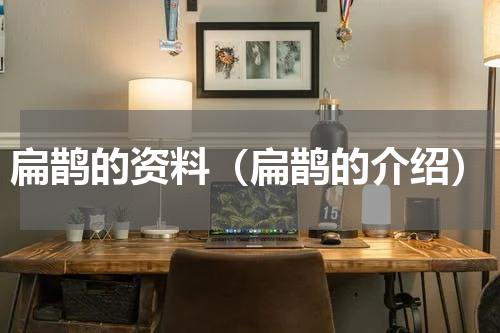 扁鹊的资料（扁鹊的介绍）
