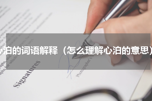 心泊的词语解释（怎么理解心泊的意思）