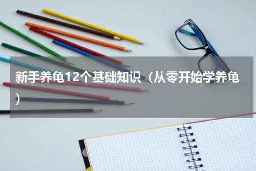 新手养龟12个基础知识（从零开始学养龟）