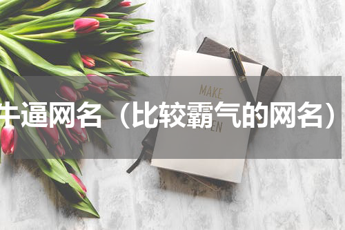 牛逼网名（比较霸气的网名）