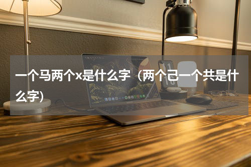 一个马两个x是什么字（两个己一个共是什么字）
