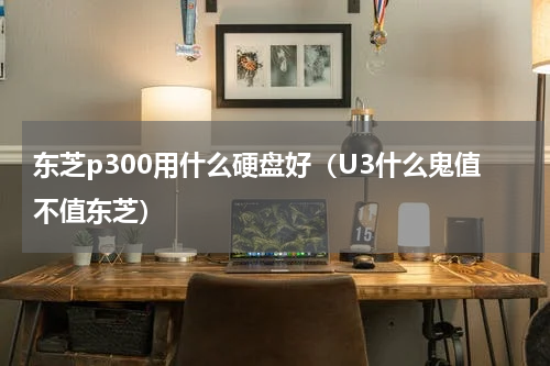 东芝p300用什么硬盘好（U3什么鬼值不值东芝）