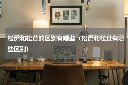 松蘑和松茸的区别有哪些（松蘑和松茸有哪些区别）