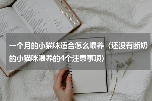 一个月的小猫咪适合怎么喂养（还没有断奶的小猫咪喂养的4个注意事项）
