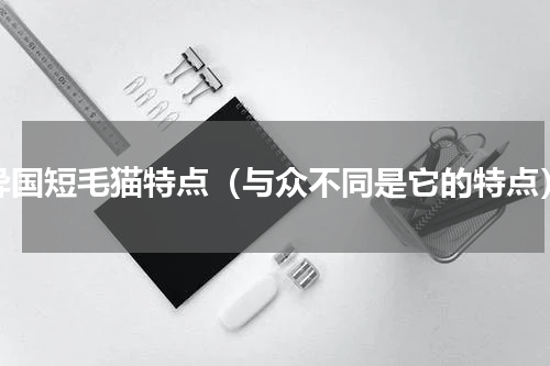 异国短毛猫特点（与众不同是它的特点）
