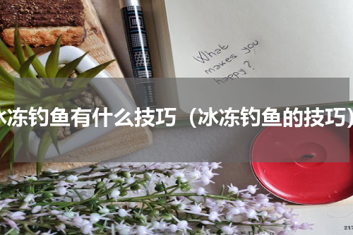 冰冻钓鱼有什么技巧（冰冻钓鱼的技巧）