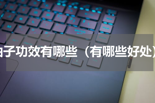 柚子功效有哪些（有哪些好处）