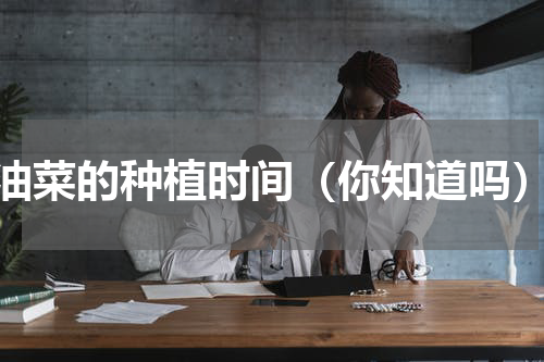 油菜的种植时间（你知道吗）