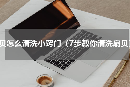 扇贝怎么清洗小窍门（7步教你清洗扇贝）