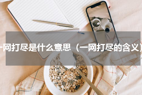 一网打尽是什么意思（一网打尽的含义）