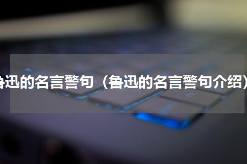 鲁迅的名言警句（鲁迅的名言警句介绍）