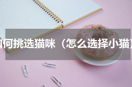 如何挑选猫咪（怎么选择小猫）