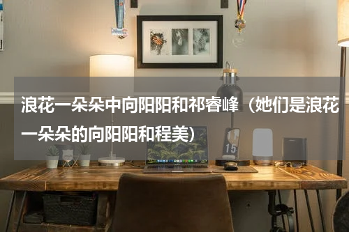 浪花一朵朵中向阳阳和祁睿峰（她们是浪花一朵朵的向阳阳和程美）