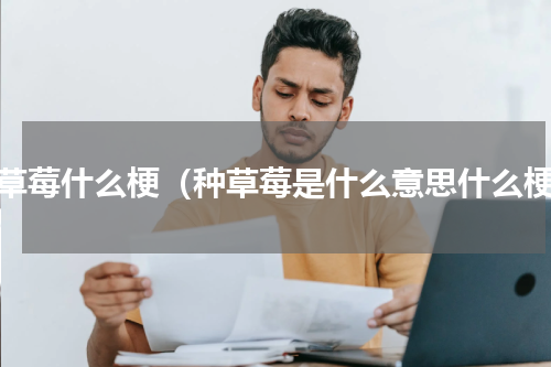 种草莓什么梗（种草莓是什么意思什么梗）