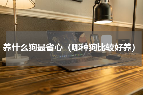 养什么狗最省心（哪种狗比较好养）