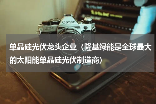 单晶硅光伏龙头企业（隆基绿能是全球最大的太阳能单晶硅光伏制造商）