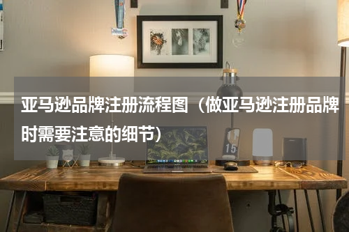 亚马逊品牌注册流程图（做亚马逊注册品牌时需要注意的细节）