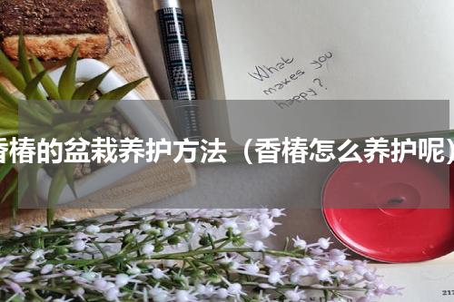 香椿的盆栽养护方法（香椿怎么养护呢）