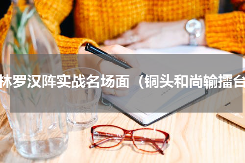 少林罗汉阵实战名场面（铜头和尚输擂台）