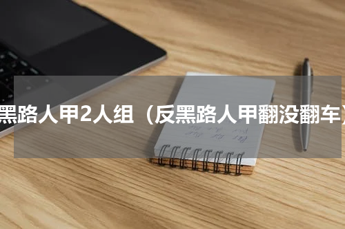 反黑路人甲2人组（反黑路人甲翻没翻车）