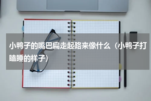 小鸭子的嘴巴扁走起路来像什么（小鸭子打瞌睡的样子）
