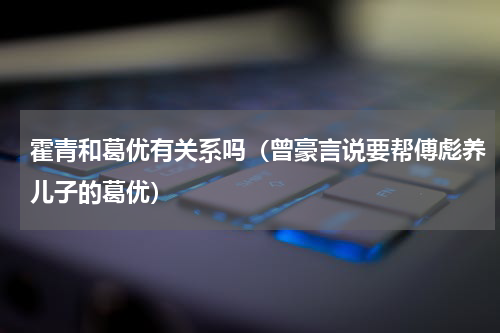 霍青和葛优有关系吗（曾豪言说要帮傅彪养儿子的葛优）