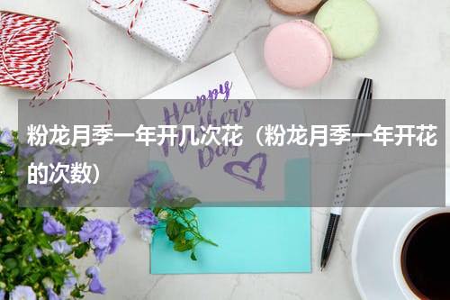 粉龙月季一年开几次花（粉龙月季一年开花的次数）